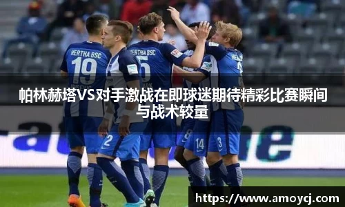 伟德bv国际体育