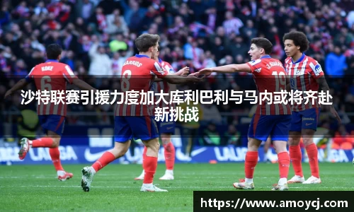 韦德bevictor