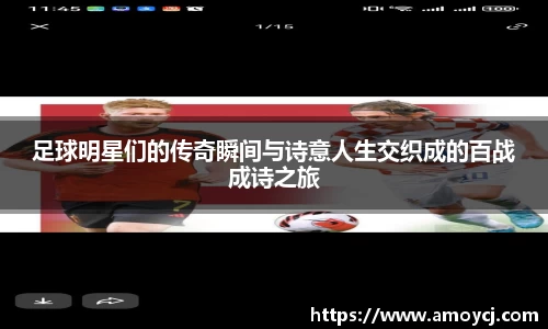 韦德体育